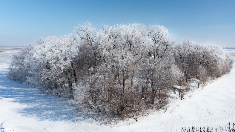 Landscape 1