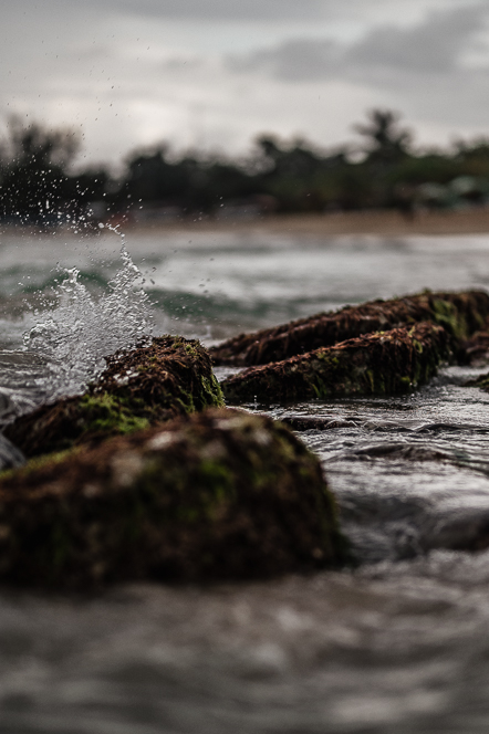 Moody Surf