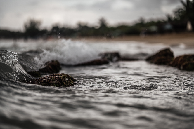 Landscape 26