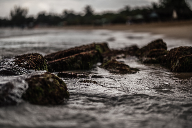Landscape 27