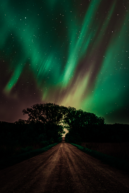 Northern Lights